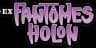 Holon Phantoms
