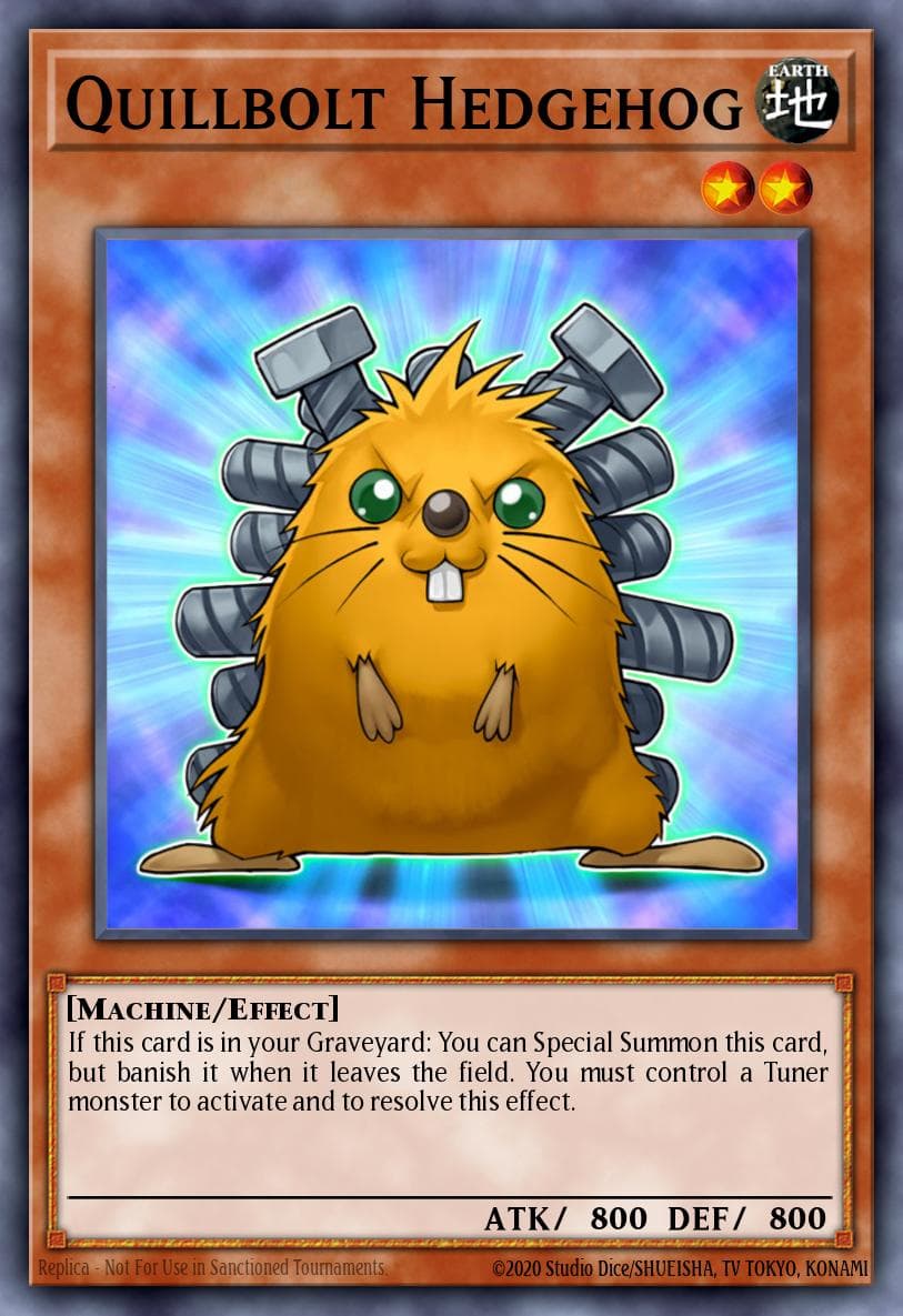 Carte Yu-Gi-Oh! Quillbolt Hedgehog #013 — Starter Deck: Yu-Gi-Oh! 5D's 2009
